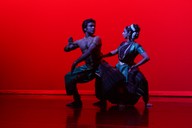Evening Concert-Transitions & Translocations