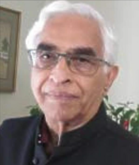 Professor Narayan Hegde