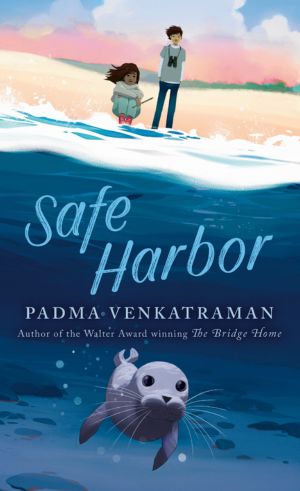 Safe Harbor Safe Harbor
